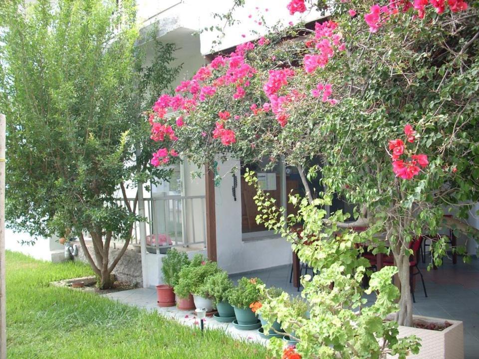 Sea Breeze 2 Apartments Mastichari  Exterior photo